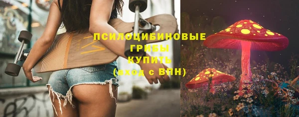 стаф Абаза