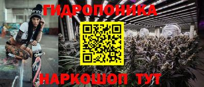 прущая мука Ачхой-Мартан