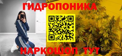 прущая мука Ачхой-Мартан